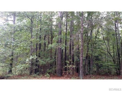 21007 Skinquarter Rd, Moseley, VA 23120-1502
