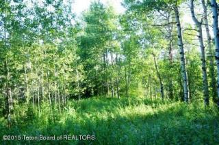 9 Blackfoot Trl, Fox Creek, ID 83455-4930