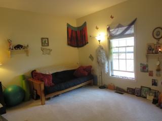 12 Stonepath Ln, Weaverville NC  28787-8551 exterior