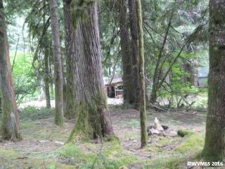 255 Guymoore Dr, Detroit, OR 97342-0023