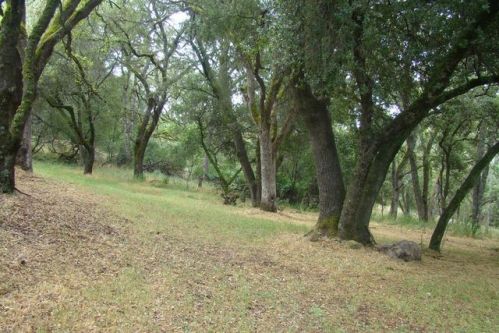 2640 Buffalo Hill Rd, Virner, CA 95634-9394