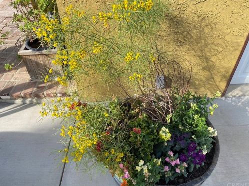 1319 Gonzales Rd, Simi Valley CA exterior