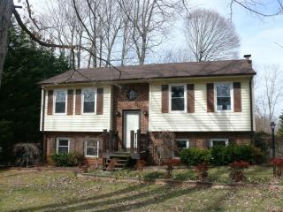223 Jefferson Woods Dr, Forest, VA 24551-2005