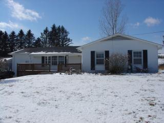 165 Mayapple Trl, Lewisburg WV  24901-8934 exterior