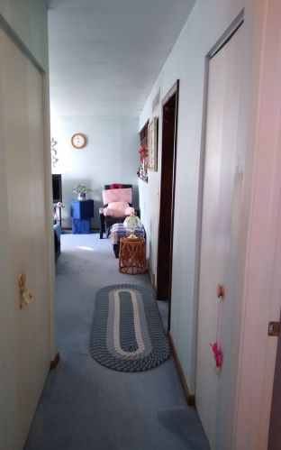 152 Larchmont Way, Lemont IL  60440-2669 exterior