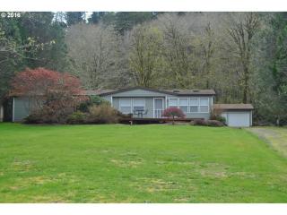 36200 Big Trout Rd, Hebo, OR 97122-9734