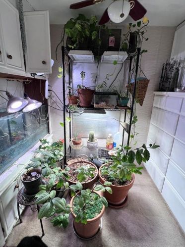 1102 Castile Rd, Austin TX  78733-2518 exterior