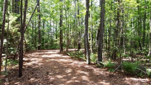 5551 Highway 162, Meggett, SC 29449-5759