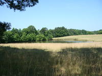 1424 Lincolnton Hwy, Elberton, GA 30635-5312