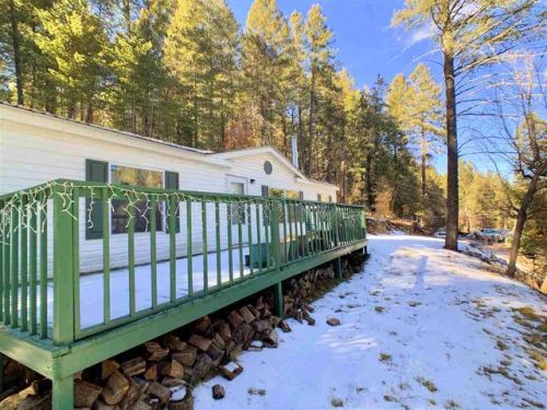 127 Wimsatt Loop, Cloudcroft, NM 88317-9538
