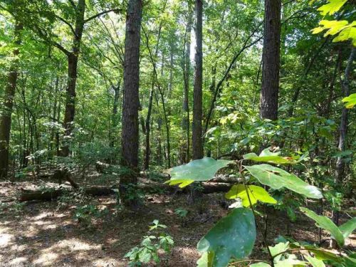 1 Highway 13, Des Arc, AR 72040