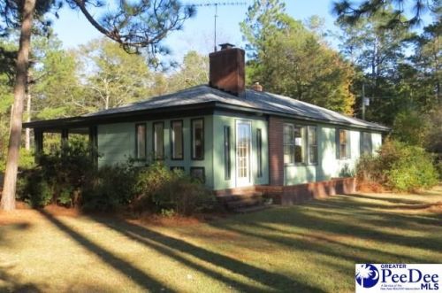 980 Billy Farrow Hwy, Darlington, SC 29532-3534