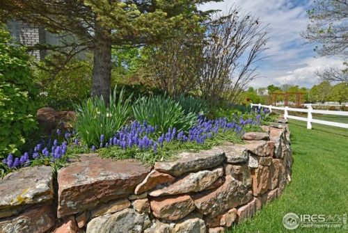 7811 Walden Cir, Fort Collins CO  80528-8904 exterior