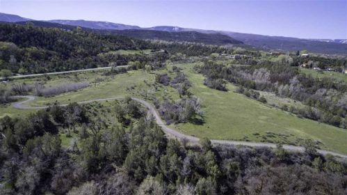 53414 Highway 330, Collbran, CO 81624-9506