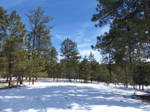 124 Kiowa Rd, Horn Creek, CO 81252-8688