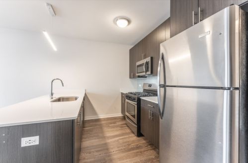 1325 Wells St, Chicago IL  60610-1991 exterior