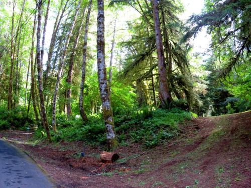 10190 Ridge View Ter, Westport OR  97016-7231 exterior