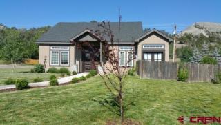 333 Elizabeth St, Ridgway, CO 81432-8303