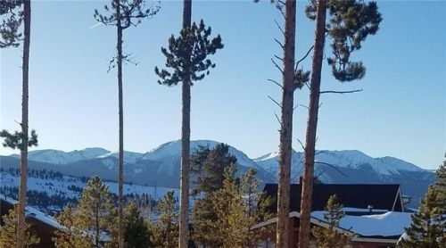 86 Snowberry Way, Montezuma, CO 80435-8352