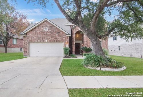 10515 Black Horse, Grey Forest, TX 78023-4367