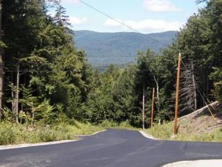 11 Waterthorn Rd, Ellsworth, NH 03285-6393