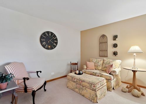 12237 Spire Dr, Lemont IL  60439-7319 exterior