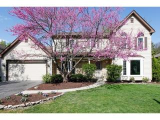 727 Thornapple Dr, Naperville, IL 60540-6317