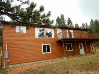 193 Kenosha Cir, Divide, CO 80814-9685