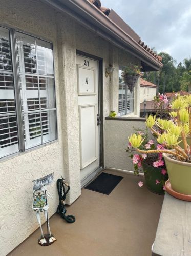 26166 Sanz, San Juan Capistrano, CA 92691-6822
