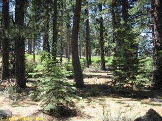 13284 Snowshoe Thompson Cir, Truckee, CA