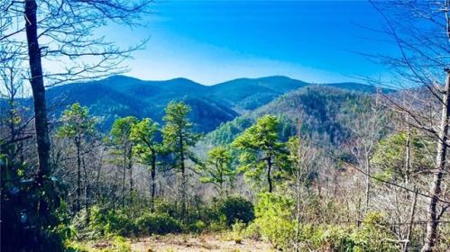 137 Davey Crockett Rd, Fairview, NC 28730-6602
