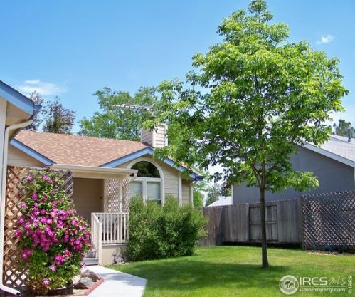 2920 Bassick St, Fort Collins, CO 80526-3738