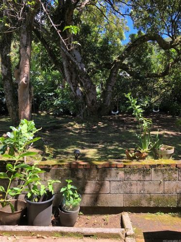 3341 Kaohinani Dr, Honolulu HI  96817-1021 exterior
