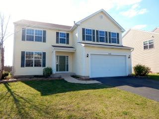 1301 Dauphin Dr, Joliet IL  60431-5397 exterior