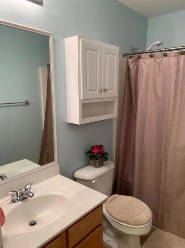 288 Sweet Alyssum Dr, Ladson SC  29456-3899 exterior