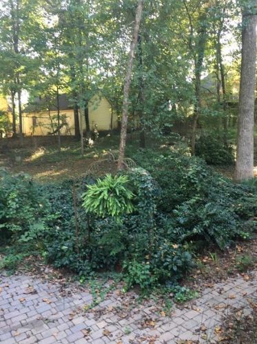 1005 Bruton Ct, Marietta, GA 30064-2971