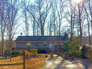 1338 Thrasher Ln, Goodview, VA 24095-2882