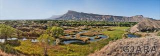 575 36 Rd, Palisade, CO 81526-9305