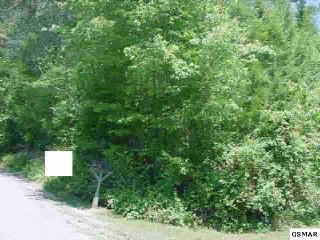 926 Stinnett Ridge Rd, Cosby, TN 37722-4000