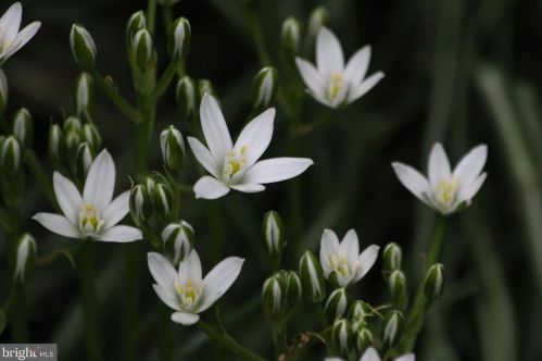 45 Valleybrook Dr, Lancaster PA  17601-4612 exterior