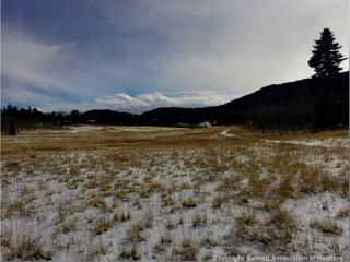 253 Overland Cir, Fairplay, CO 80456-0418