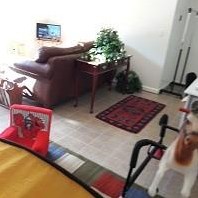 5962 Waggoner Ct, Rex GA 30273-5205 exterior