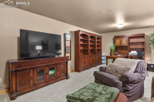 133 Elk Grove Ln, Woodland Park CO 80863-9171 exterior