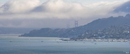 115 Geldert Dr, Tiburon, CA 94920-1408