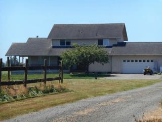 218 Brady Loop Rd, Preachers Slough, WA 98563-9520