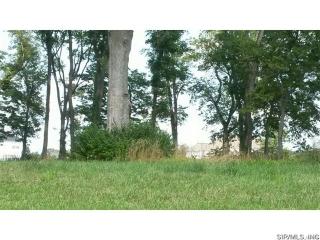 4188 Water Oak Ln, Smithton, IL 62285-3666