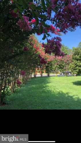 7635 Dunston St, Springfield VA  22151-2611 exterior