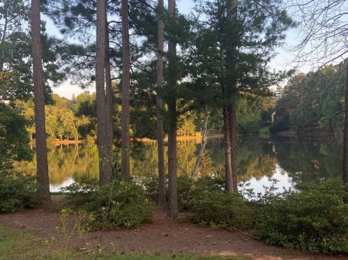 2744 Pitlochry St, Conyers GA  30094-6855 exterior