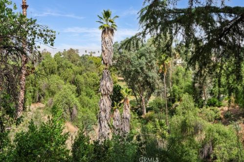 1921 Arroyo Dr, Riverside CA  92506-1610 exterior
