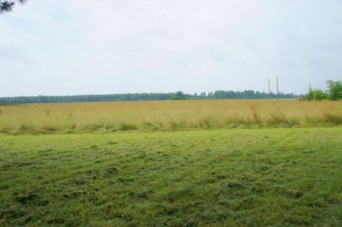 2028 Mount Pleasant Rd, Shady Grove, IL 62910-2509